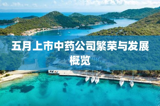 五月上市中藥公司繁榮與發(fā)展概覽
